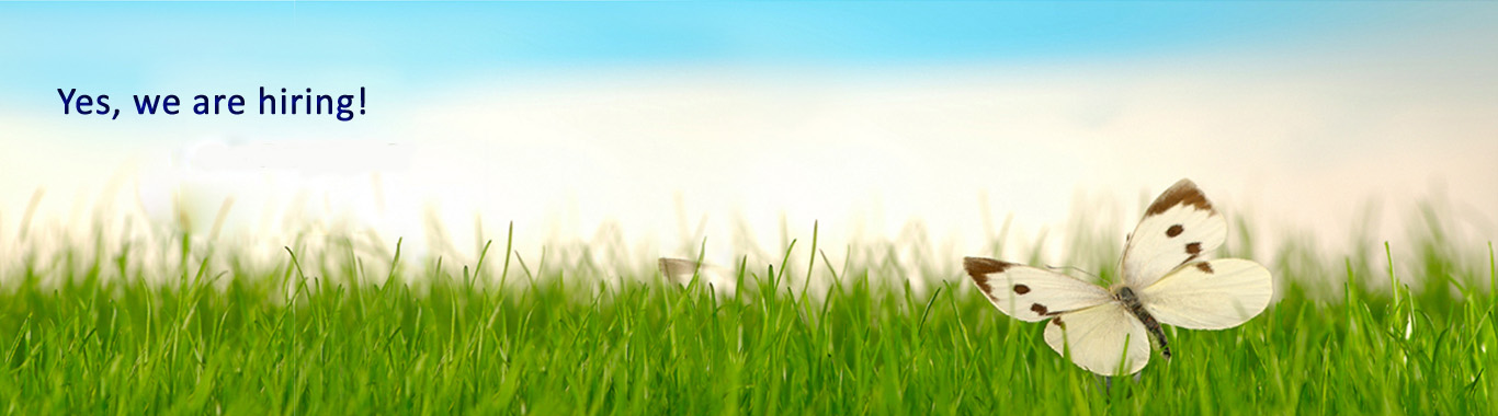 Career-banner
