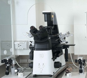 Nikon_Ts2R-fume-hood